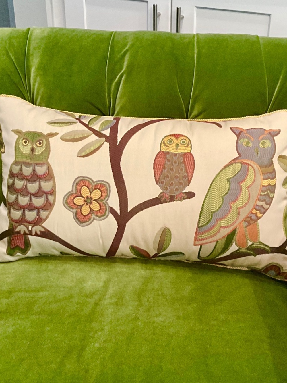 Custom Pillow Set w/ Matching throw. Owl enthusiasts!
